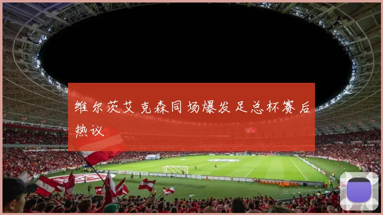 维尔茨艾克森同场爆发足总杯赛后热议
